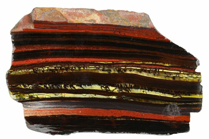 Polished Tiger Iron Stromatolite Slab - Billion Years #185919